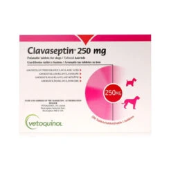 Vetoquinol Clavaseptin 250mg Palatable Tablets For Dogs X 250