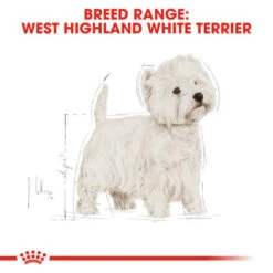 Royal Canin Dry Dog Food Specifically For Adult West Highland White Terrier - All Sizes -Pet Supplies vttn54u4m2w