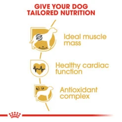 Royal Canin Dry Dog Food Specifically For Adult Boxer - All Sizes 15 Royal Canin Dry Dog Food Specifically For Adult Boxer - All Sizes -Pet Supplies wxkqfqivmpa