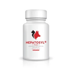 Hepatosyl Plus Capsules For Cats & Dogs -Pet Supplies x0tz2cu5ps1 960a5594 cc8f 42cb a5f3 769a950d77b9