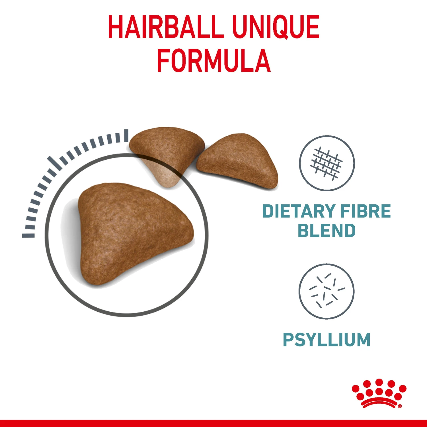 Royal Canin Hairball Care Adult Dry Cat Food For Cats 12 Royal Canin Hairball Care Adult Dry Cat Food For Cats - Image 10