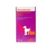 Chanelle Rheumocam 1.5mg/ml Oral Suspension For Dogs -Pet Supplies x4tqlmdmbo1