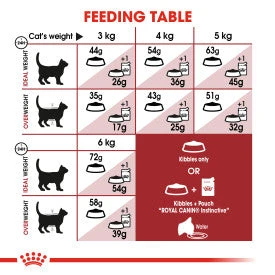 Royal Canin Regular Fit 32 Adult Dry Cat Food For Cats 6 Royal Canin Regular Fit 32 Adult Dry Cat Food For Cats - Image 4