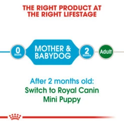 Royal Canin Dry Dog Food For Mini Starter Mother & Babydog - All Sizes -Pet Supplies xvk1g53p1ml
