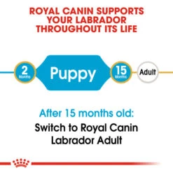 Royal Canin Dry Dog Food Specifically For Puppy Labrador Retriever - All Sizes -Pet Supplies yej5cm33rht