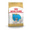 Royal Canin Dry Dog Food Specifically For Puppy French Bulldog - All Sizes -Pet Supplies ygq0zy24kre
