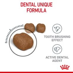 Royal Canin Dental Care Adult Dry Cat Food For Cats- Various Sizes -Pet Supplies yoxg1ro1p1m