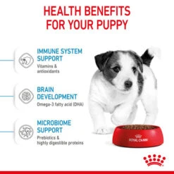 Royal Canin Nutritional Dry Dog Food For Mini Puppy - 2kg 23 Royal Canin Nutritional Dry Dog Food For Mini Puppy - 2kg -Pet Supplies yqwgpqvrr3i