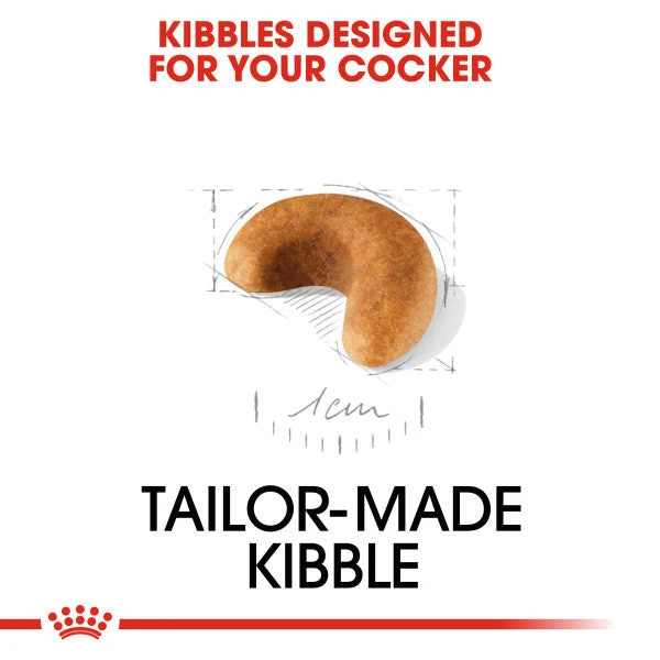 Royal Canin Dry Dog Food Specifically For Puppy Cocker 3kg 10 Royal Canin Dry Dog Food Specifically For Puppy Cocker 3kg - Image 8