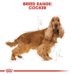Royal Canin Dry Dog Food Specifically For Adult Cocker - All Sizes 17 Royal Canin Dry Dog Food Specifically For Adult Cocker - All Sizes -Pet Supplies z51yrhx3wku