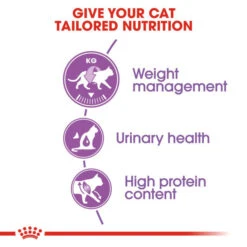 Royal Canin Regular Sterilised 37 Adult Dry Cat Food For Cats 14 Royal Canin Regular Sterilised 37 Adult Dry Cat Food For Cats -Pet Supplies zcfuy3wj1kd
