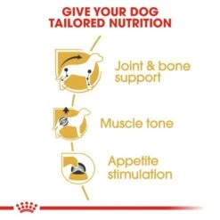 Royal Canin Wet Dog Food Specifically For Adult Dachshund 12x85g -Pet Supplies zdkzquj5gnr