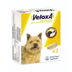 Boehringer Ingelheim Veloxa Chewable Worming Tablets For Dogs -Pet Supplies zlg1fi13xns 4d86c2d6 70d4 449b 93f9 82972ccdee4d
