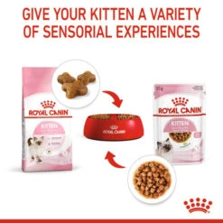 Royal Canin Wet Cat Food Kitten Instinctive Pouch In Gravy 12 X 85g -Pet Supplies zsoxpvcgstn