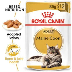 Royal Caninn Maine Coon Adult In Gravy Wet Cat Food 12 X 85g -Pet Supplies zusha4ryrt5