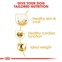 Royal Canin Dry Dog Food Specifically For Adult Golden Retriever - All Sizes 15 Royal Canin Dry Dog Food Specifically For Adult Golden Retriever - All Sizes -Pet Supplies zwe050zveri
