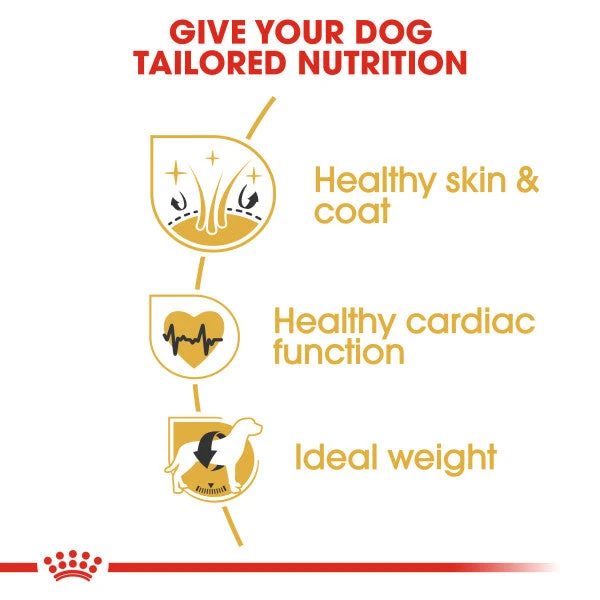 Royal Canin Dry Dog Food Specifically For Adult Golden Retriever - All Sizes 8 Royal Canin Dry Dog Food Specifically For Adult Golden Retriever - All Sizes - Image 6